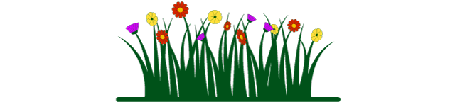 Blumenwiese im Garten und auf großen Flächen